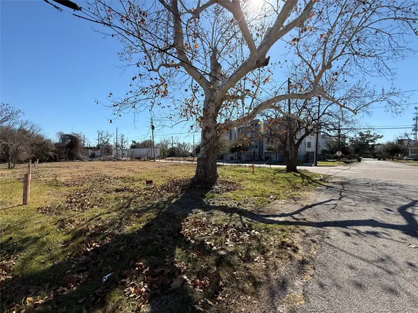 a view of a yard with a tree