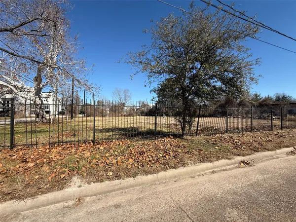 a view of a yard
