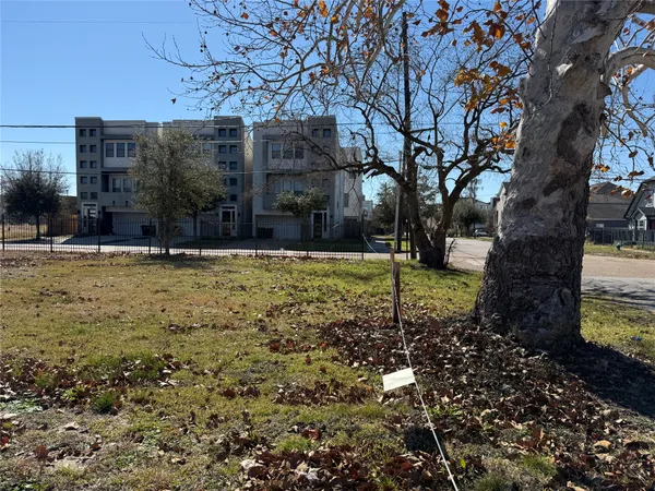 a view of a house with yard and tree