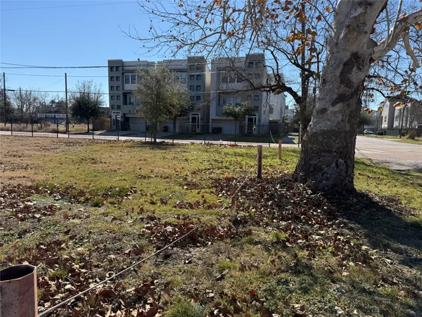 a view of a yard with plants and trees