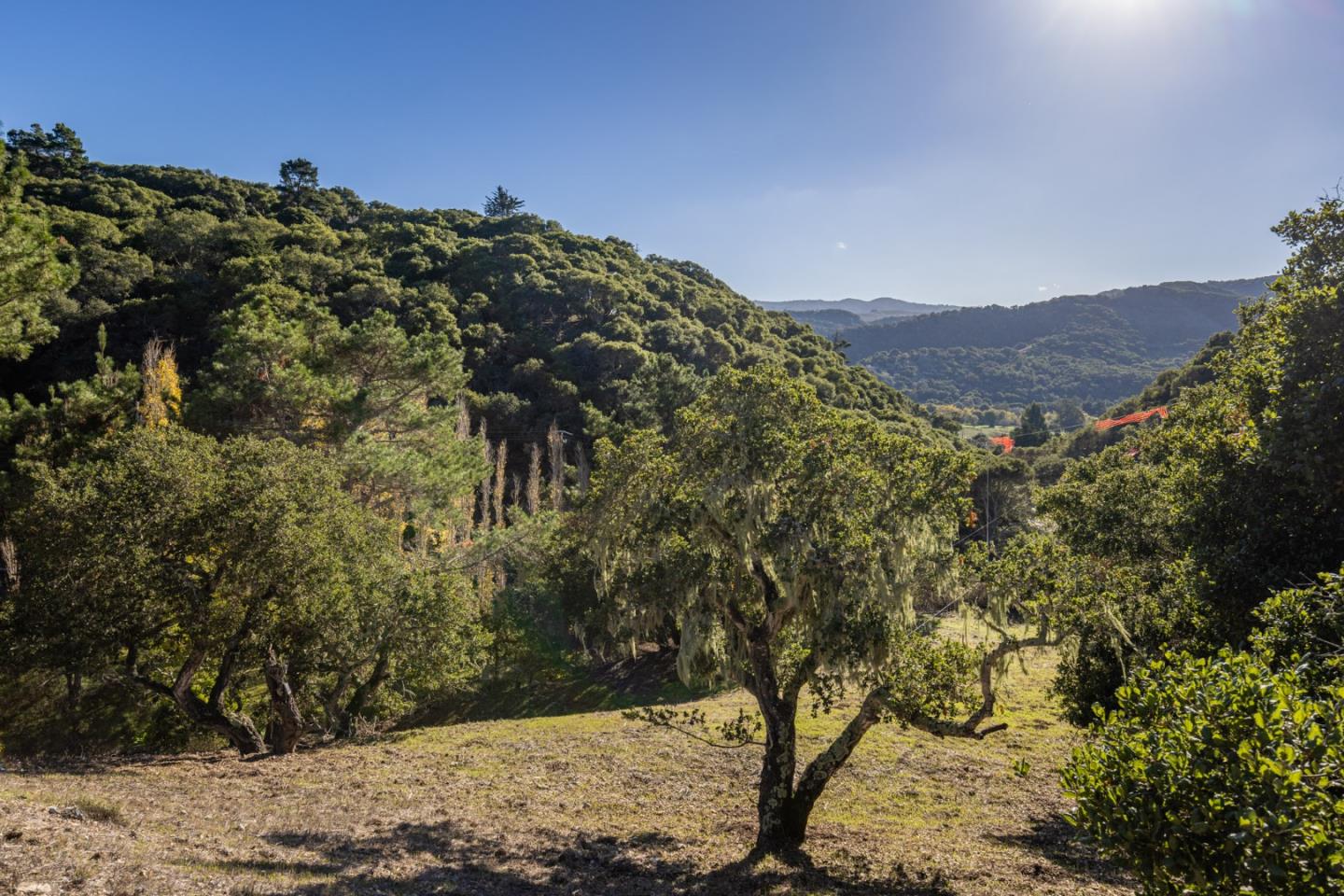 28007 Mercurio Road Carmel, CA 93923 - Photo 9 of 15