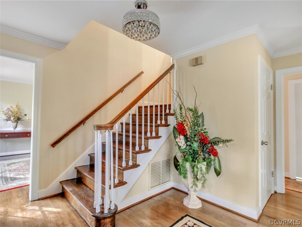 3140 Winterfield Road Midlothian, VA 23113 - Photo 4 of 36 Gallery Image 4