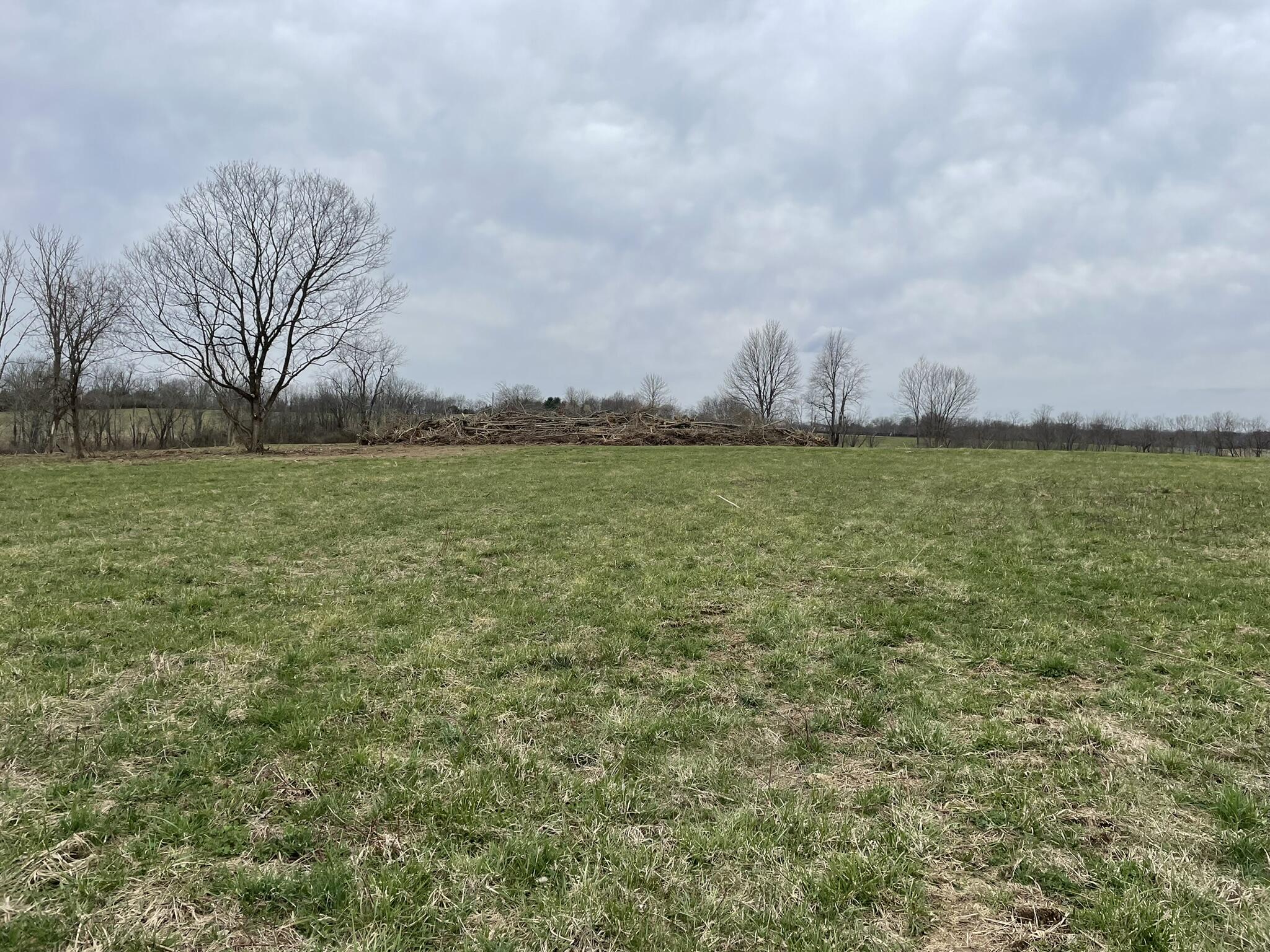 2130 McClure Road, Unit LOT # 29 Winchester, KY 40391 - Photo 4 of 9 IMG_0627