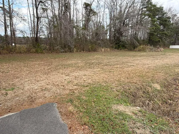 $69,000 | Tbd Neil Branch Road, Loris, SC 29569