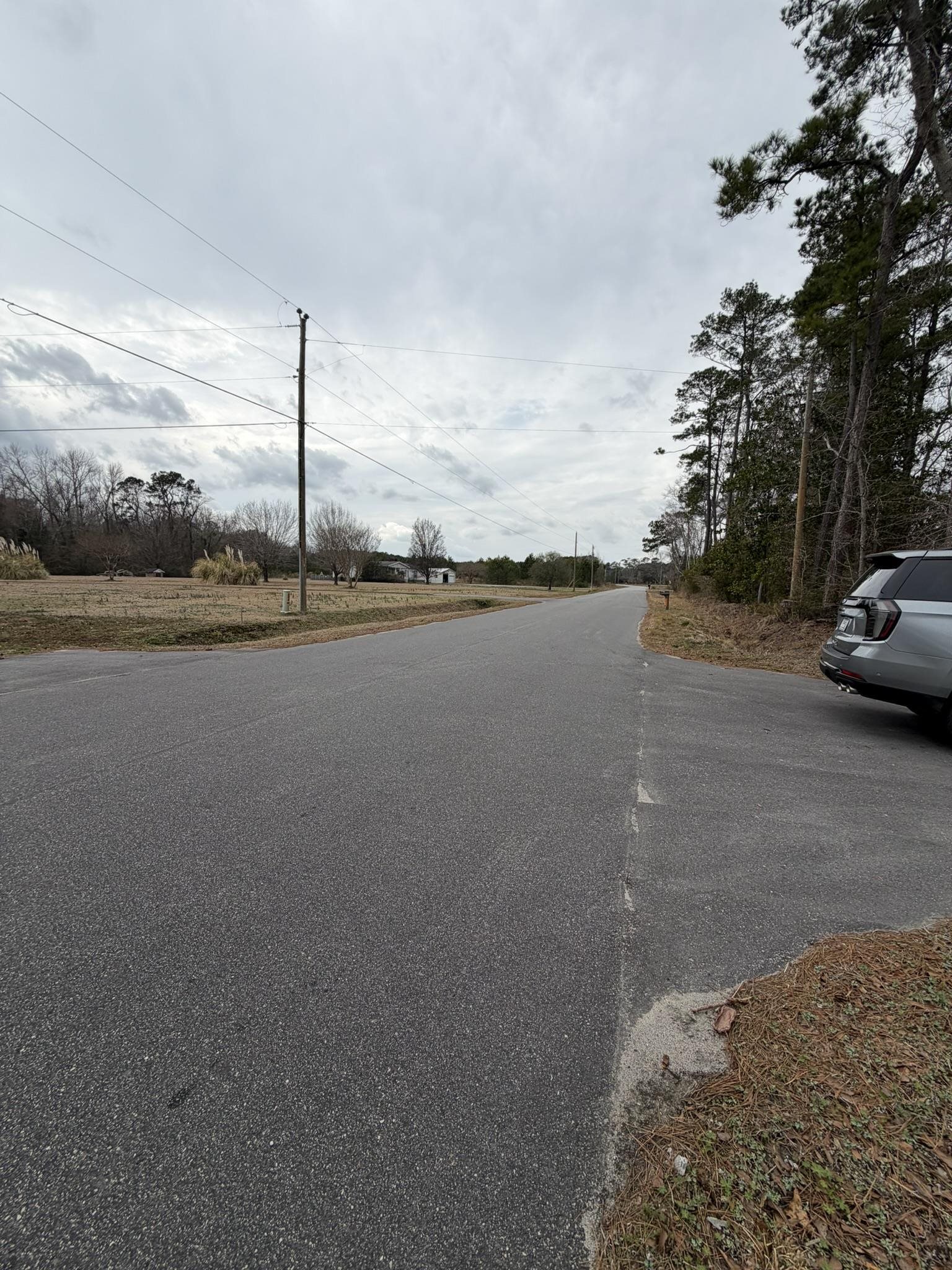 Tbd Neil Branch Road Loris, SC 29569 - Photo 5 of 7