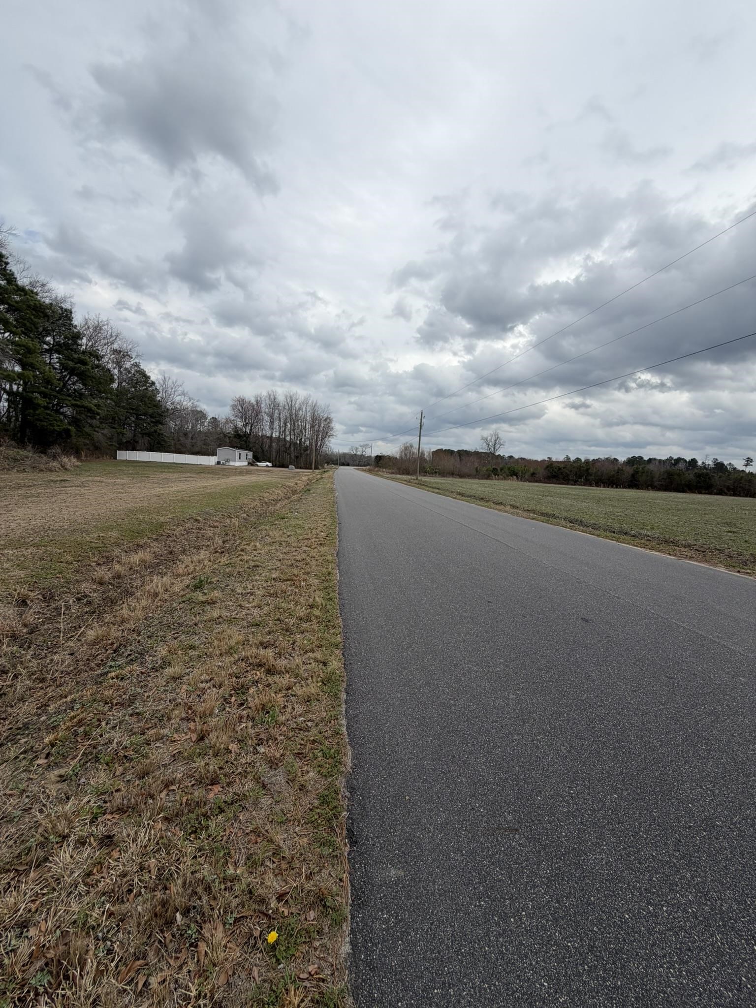 Tbd Neil Branch Road Loris, SC 29569 - Photo 6 of 7