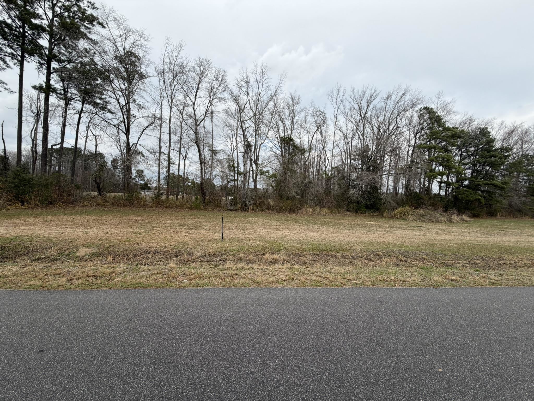 Tbd Neil Branch Road Loris, SC 29569 - Photo 7 of 7