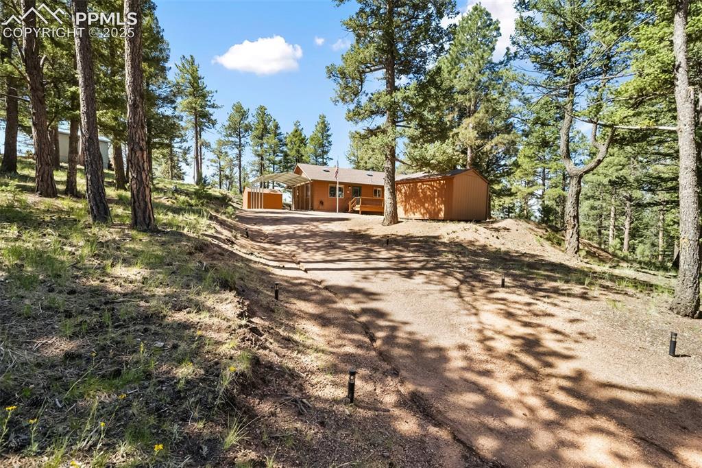 234 Wahsatch Road Florissant, CO 80816 - Photo 5 of 44