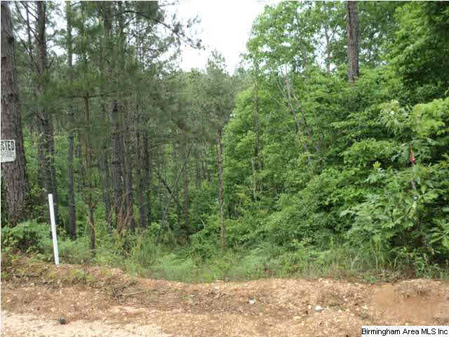 485 County Road, Unit 110 Clanton, AL 35046 - Photo 6 of 22