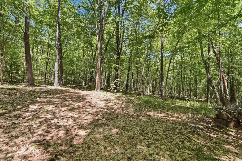 0 Carter Pond Road Petersham, MA 01366 - Photo 12 of 18