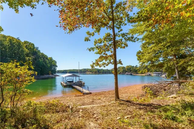 a view of a yard in front of a house with plants and large tree