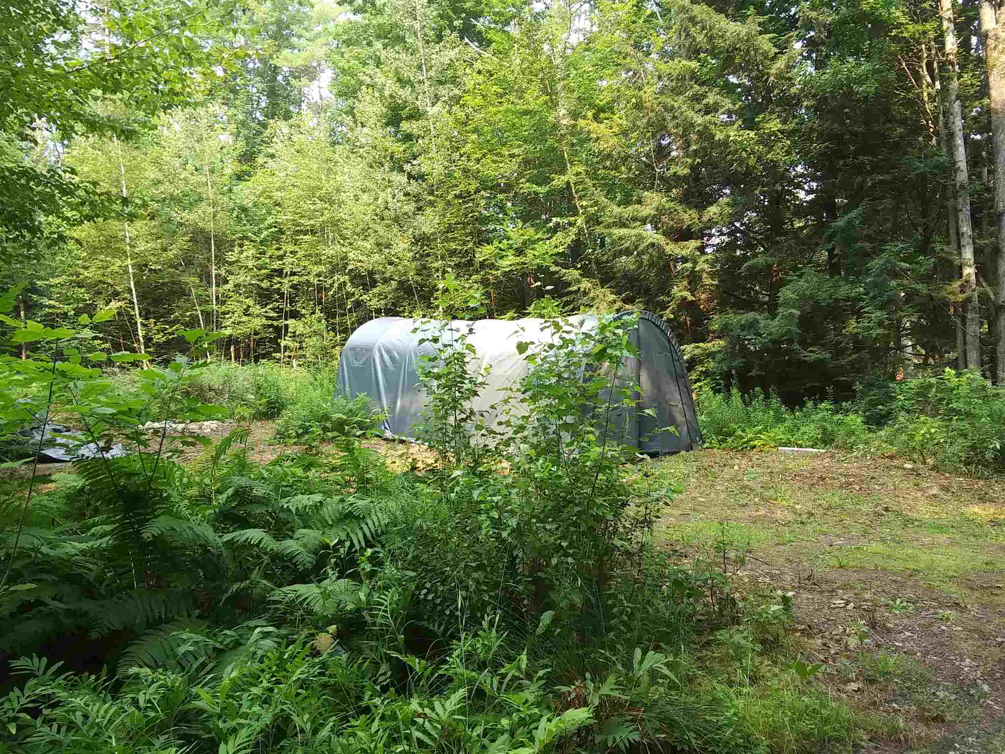 Birch Hill Road Bristol, NH 03222 - Photo 14 of 15 Gallery Image 14