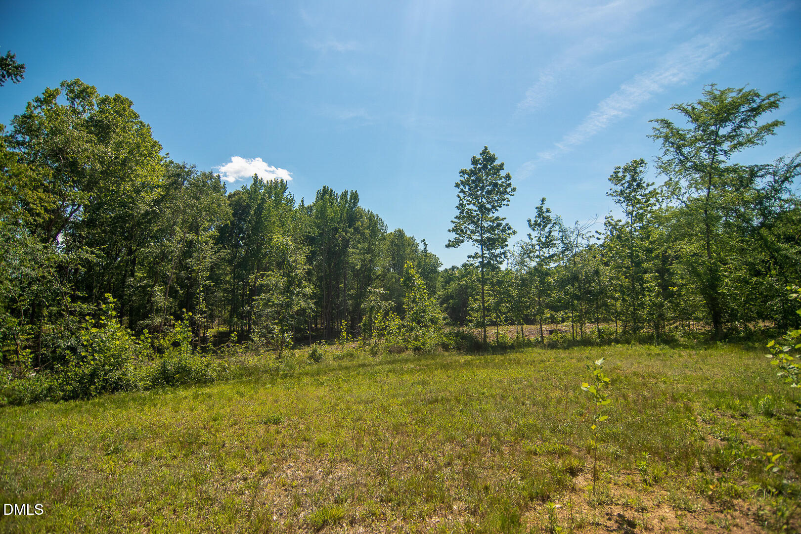 201 Briggs Road Hurdle Mills, NC 27541 - Photo 40 of 43