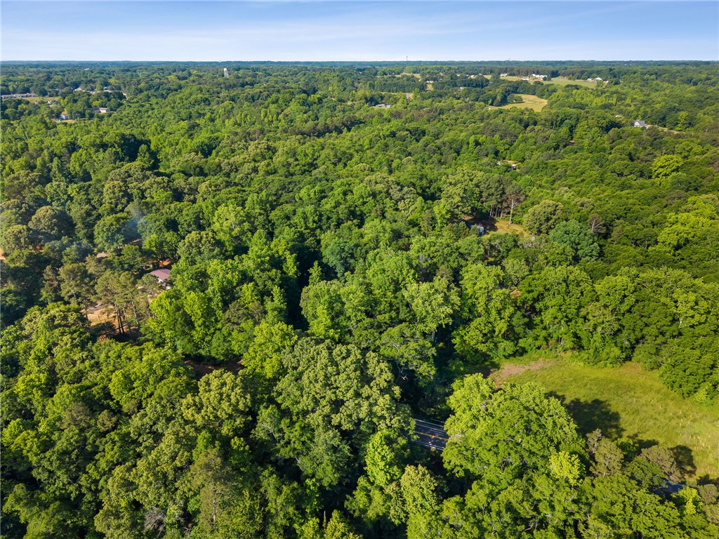 217 Old River Road Pelzer, SC 29669 - Photo 25 of 30 An aerial perspective reveals a vast, verdant landscape of dense forestry, offering ultimate seclusion and natural beauty.