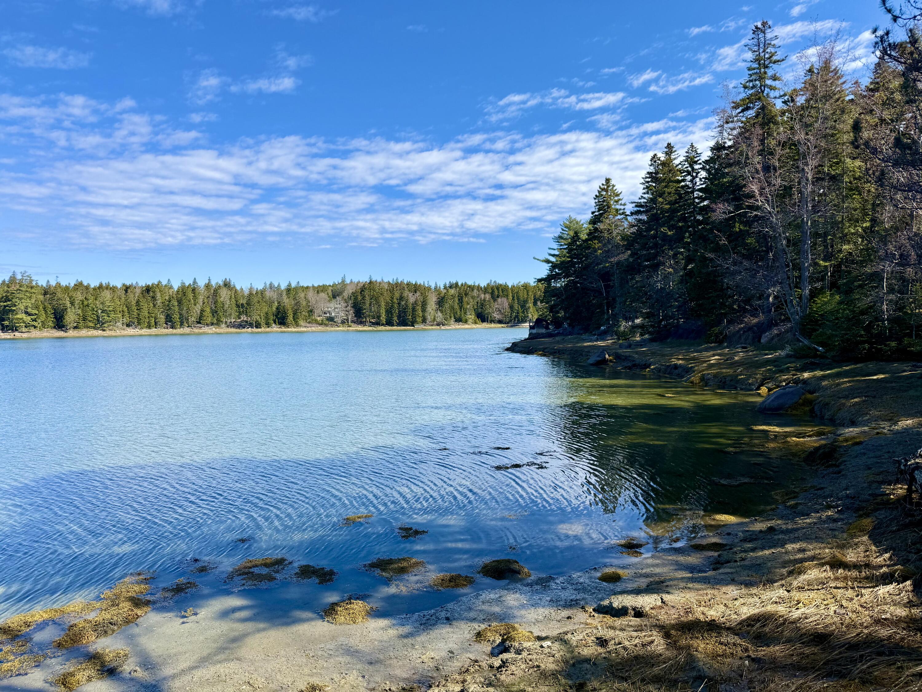 368 Calderwood Neck Road Vinalhaven, ME 04863 - Photo 21 of 32 IMG_7320