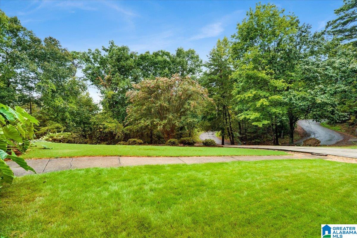 1600 Pine Mountain Road Remlap, AL 35133 - Photo 46 of 56 Gallery Image 46