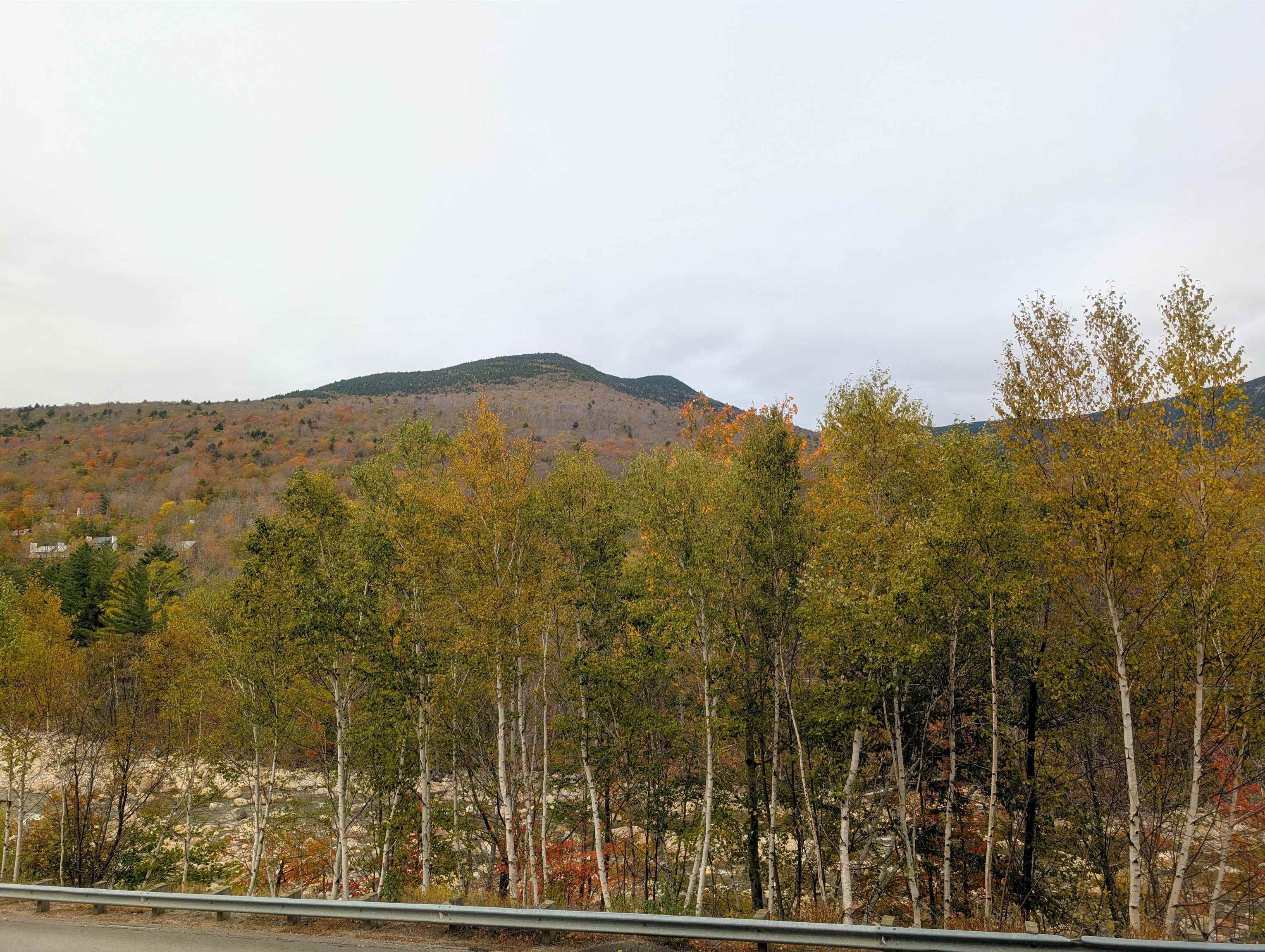 90 Loon Mountain Road, Unit 861D Lincoln, NH 03251 - Photo 15 of 48