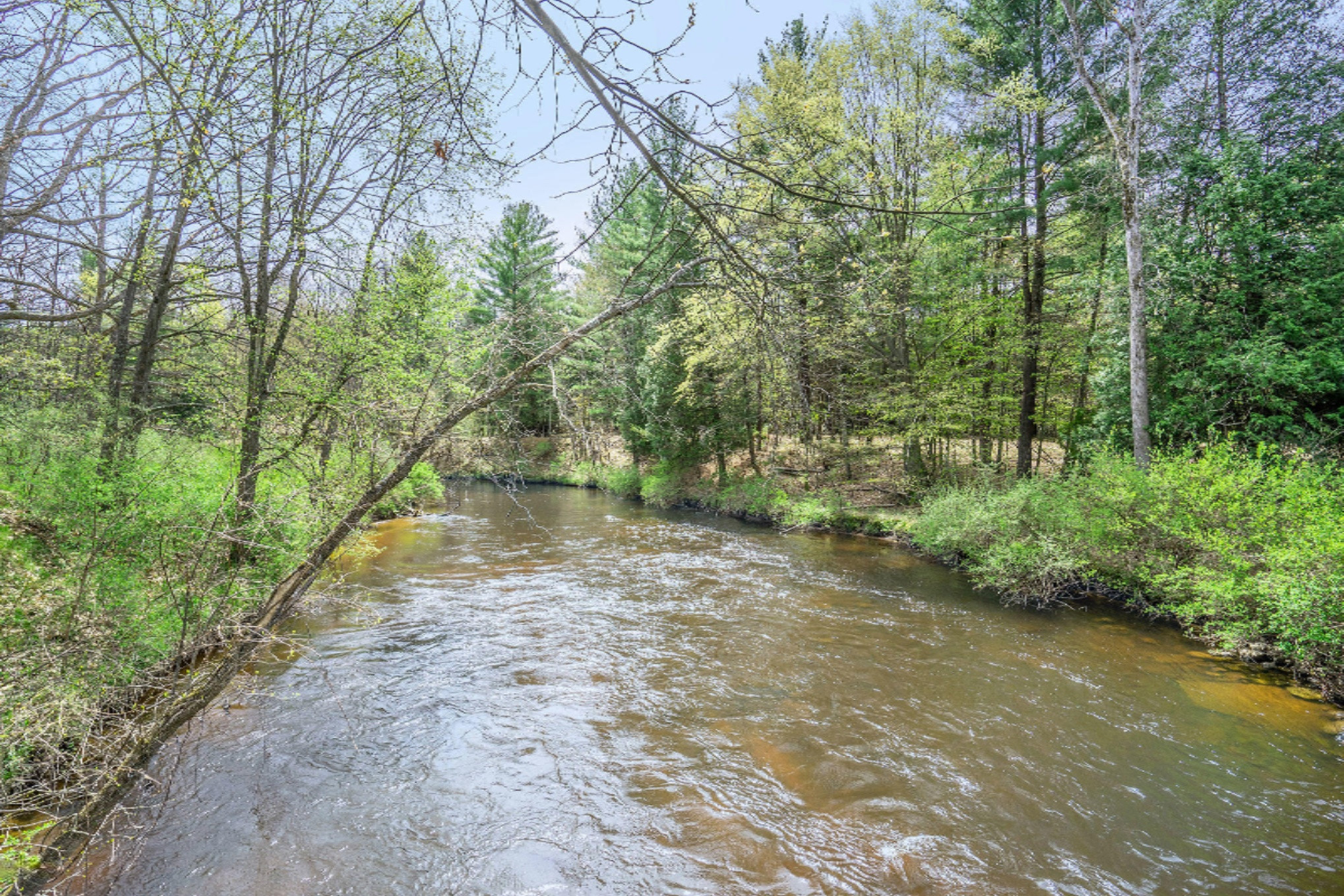 4193 South Walhalla Rd Branch Branch, MI 49402 - Photo 13 of 74 4193Walhalla_99