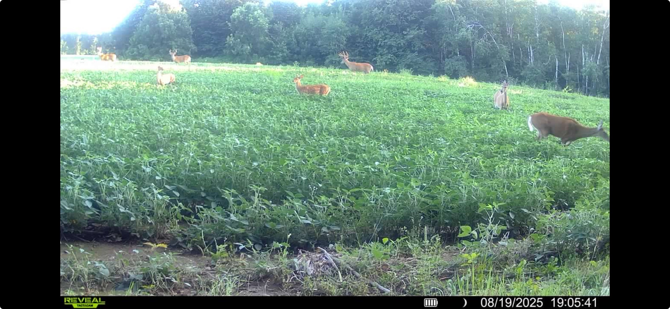 N8771 Fye Road Trego, WI 54888 - Photo 26 of 47