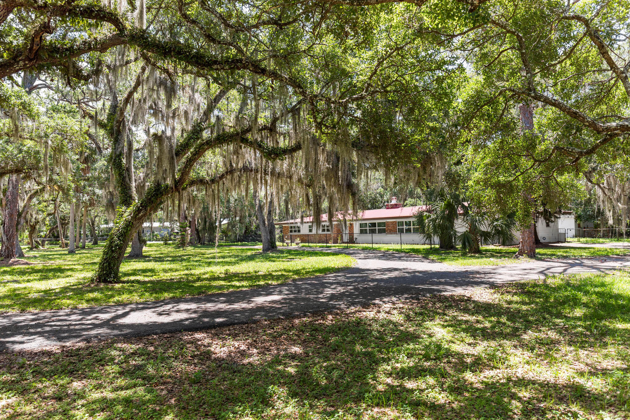 409 Southwest 15th Street Okeechobee, FL 34974 - Photo 3 of 14 a view of a house with a yard and tree s