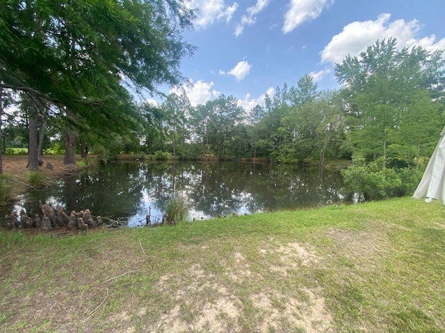 2644 McConnell Bridge Road Adel, GA 31620 - Photo 34 of 37 Gallery Image 34