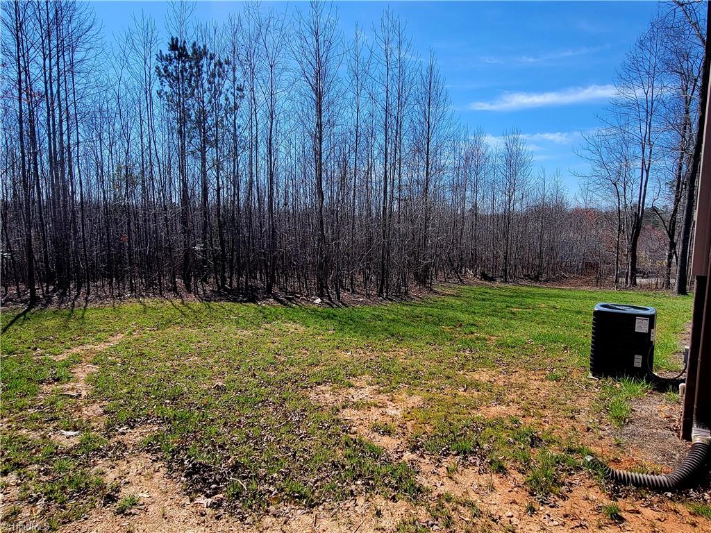 3519 Old Mountain Road Lexington, NC 27292 - Photo 32 of 33 Back