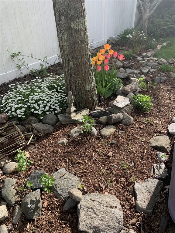 36 Boston Road North Billerica, MA 01862 - Photo 12 of 17 a front view of a house with a yard and flowers