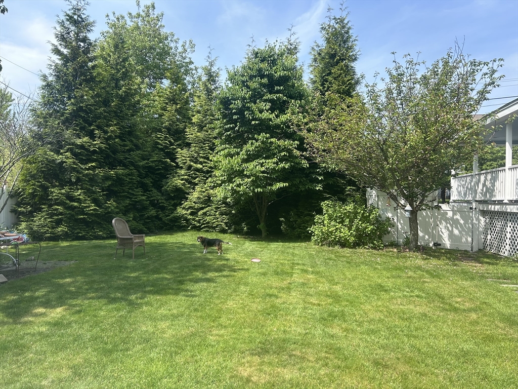 36 Boston Road North Billerica, MA 01862 - Photo 10 of 17 a grassy field with a tree in the background