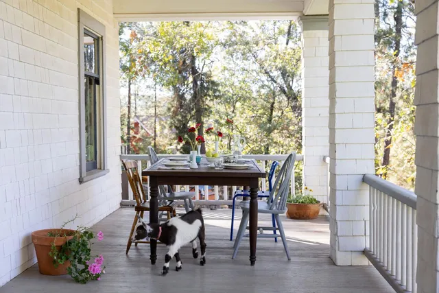 a backyard of a house with lots of green space and fountain