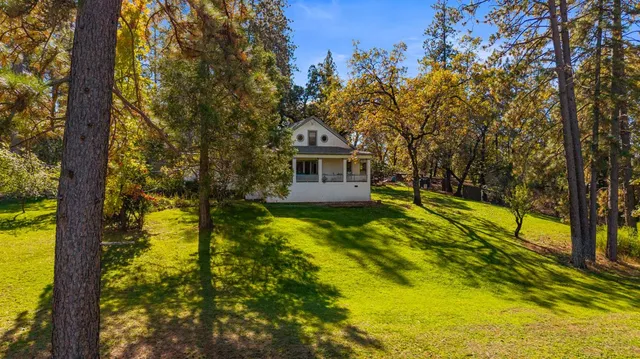 a view of swimming pool with lawn chairs and large trees