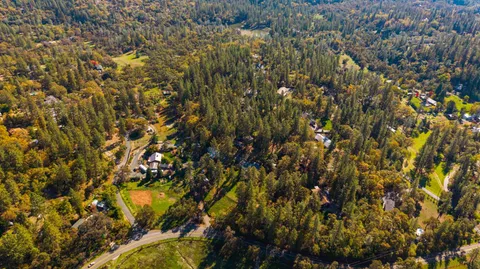 a view of a yard in front of a house with a large tree