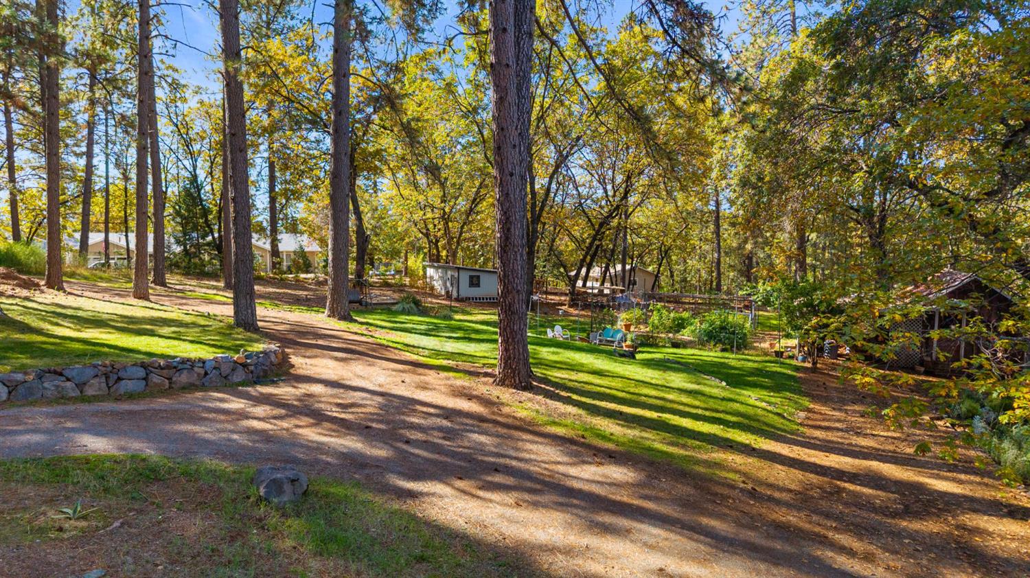 790 Pine Knoll Road Applegate, CA 95703 - Photo 47 of 81 a view of a park with large trees