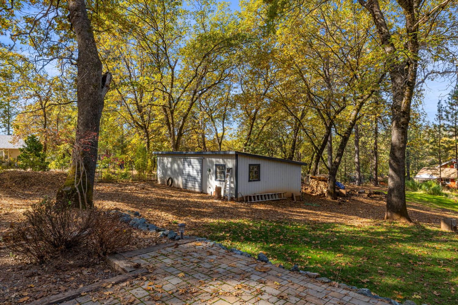 790 Pine Knoll Road Applegate, CA 95703 - Photo 57 of 81 a view of a house with backyard and tree
