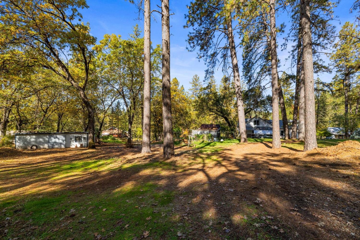 790 Pine Knoll Road Applegate, CA 95703 - Photo 59 of 81 a view of a street with houses on both side