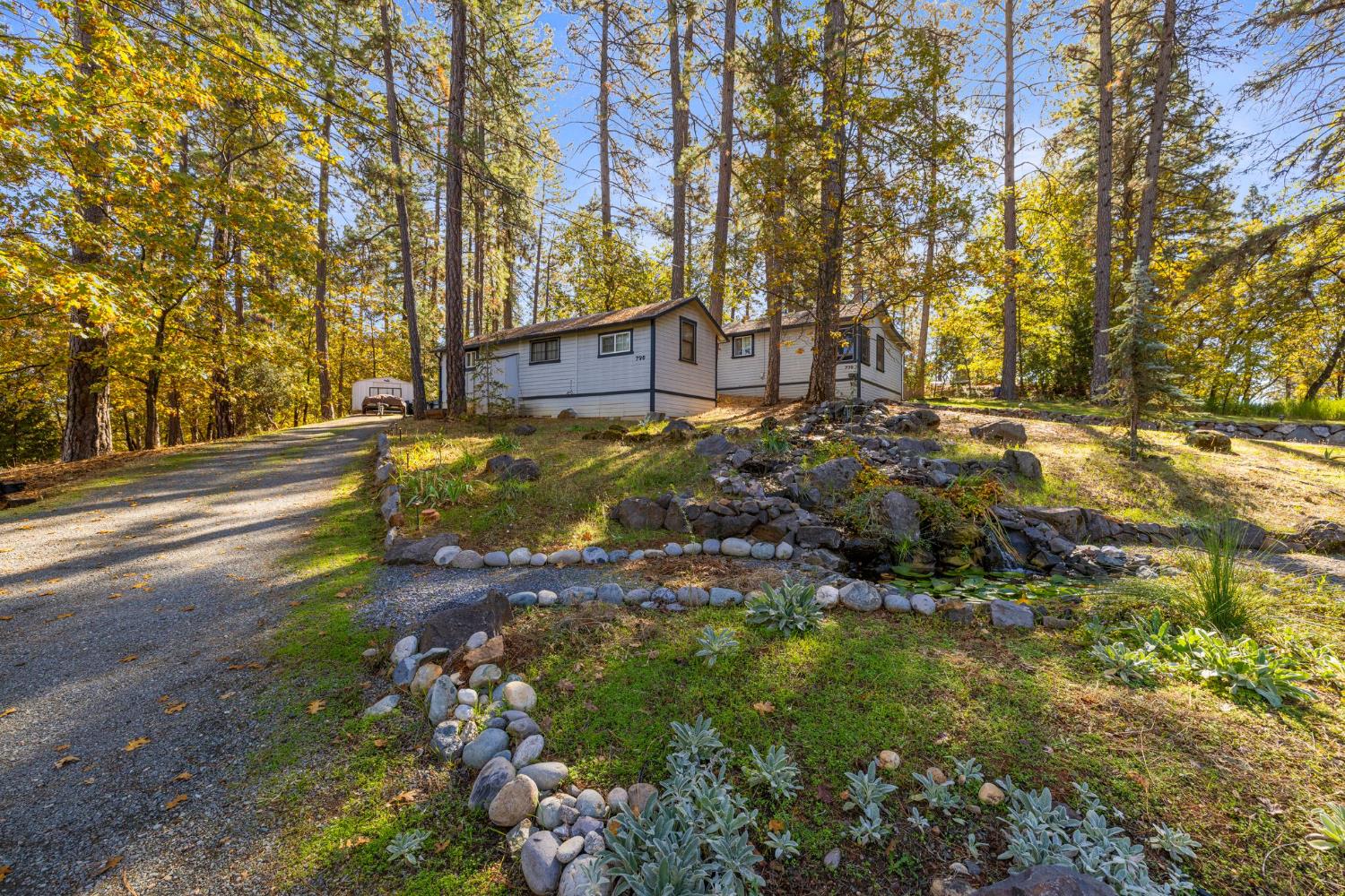 790 Pine Knoll Road Applegate, CA 95703 - Photo 66 of 81 a view of backyard