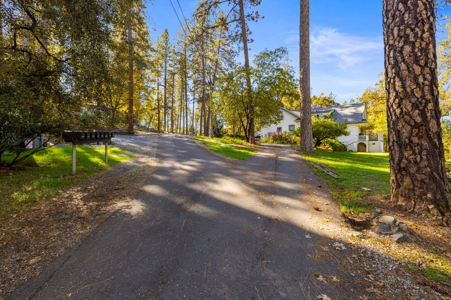 790 Pine Knoll Road Applegate, CA 95703 - Photo 72 of 81 a view of a yard with swimming pool