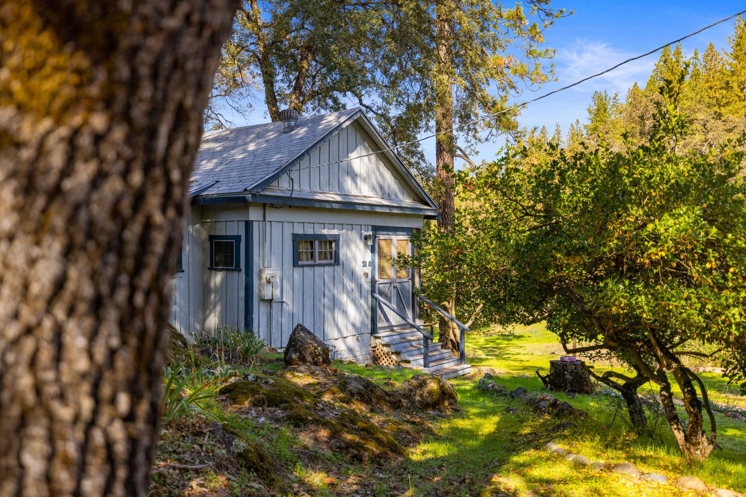 790 Pine Knoll Road Applegate, CA 95703 - Photo 74 of 81