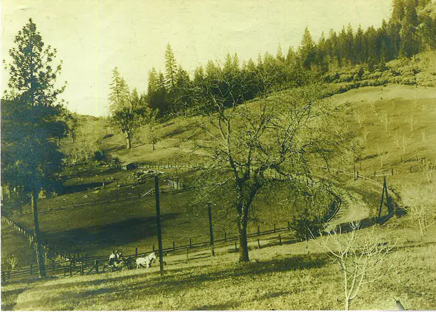 790 Pine Knoll Road Applegate, CA 95703 - Photo 81 of 81 Applegate Highway in front of Walmond cottage, circa1906-1907. W.B's orchard to the right. Anna Hotchkiss on wagon.