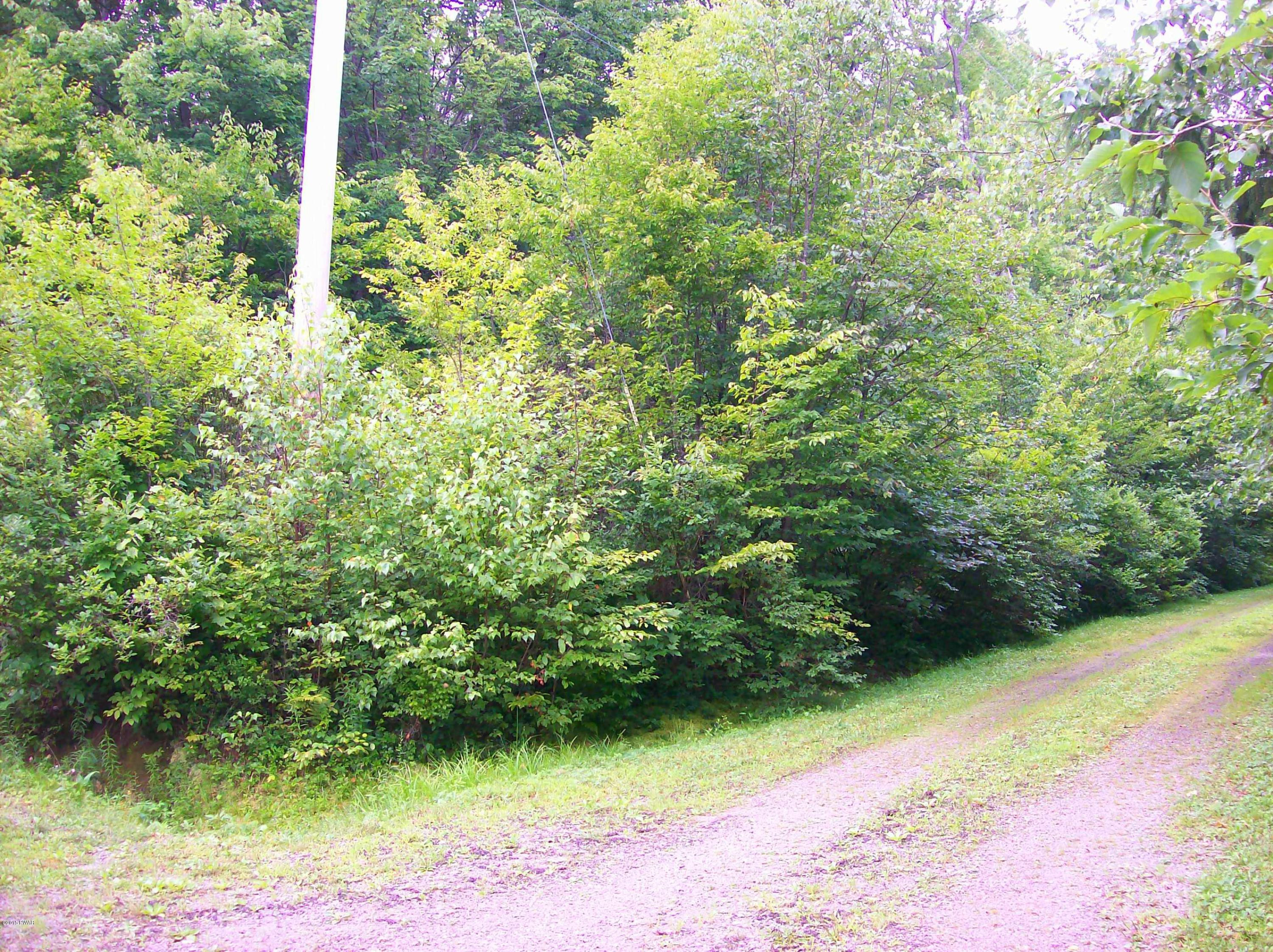 Hempstead Lake Road Starlight, PA 18461 - Photo 3 of 3