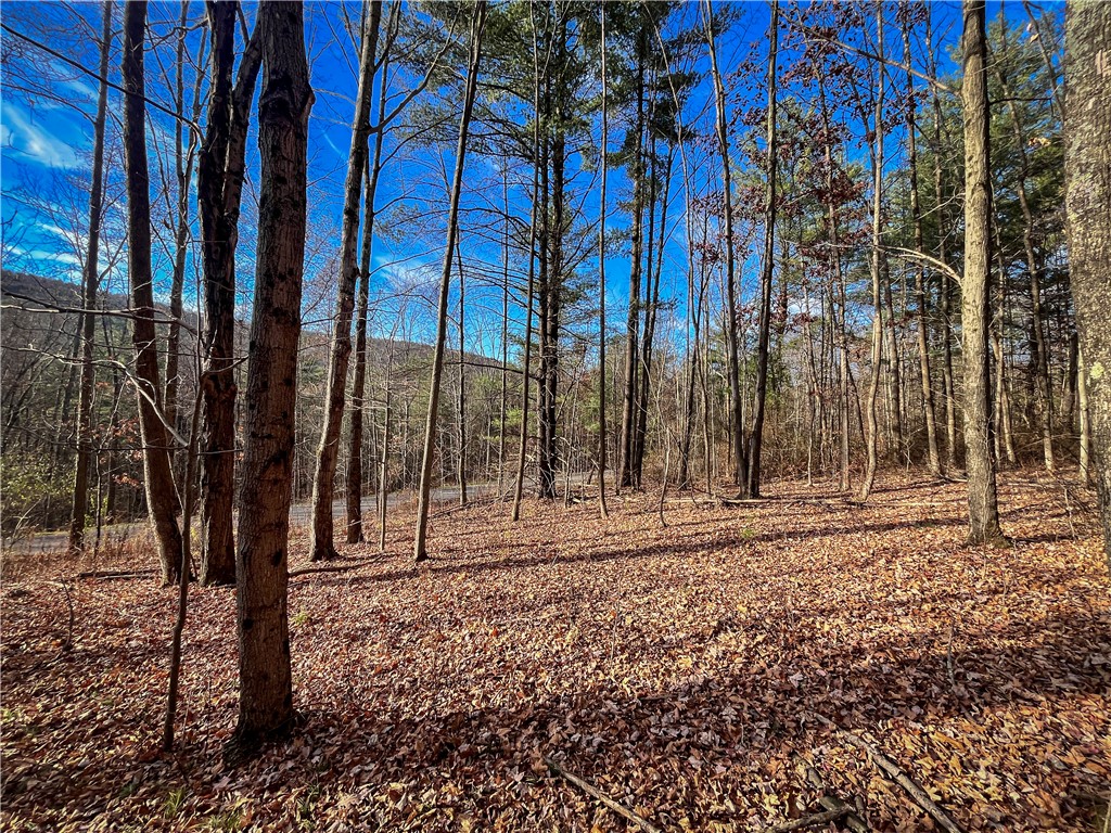 1188 Braybrook Road Chemung, NY 14861 - Photo 17 of 45