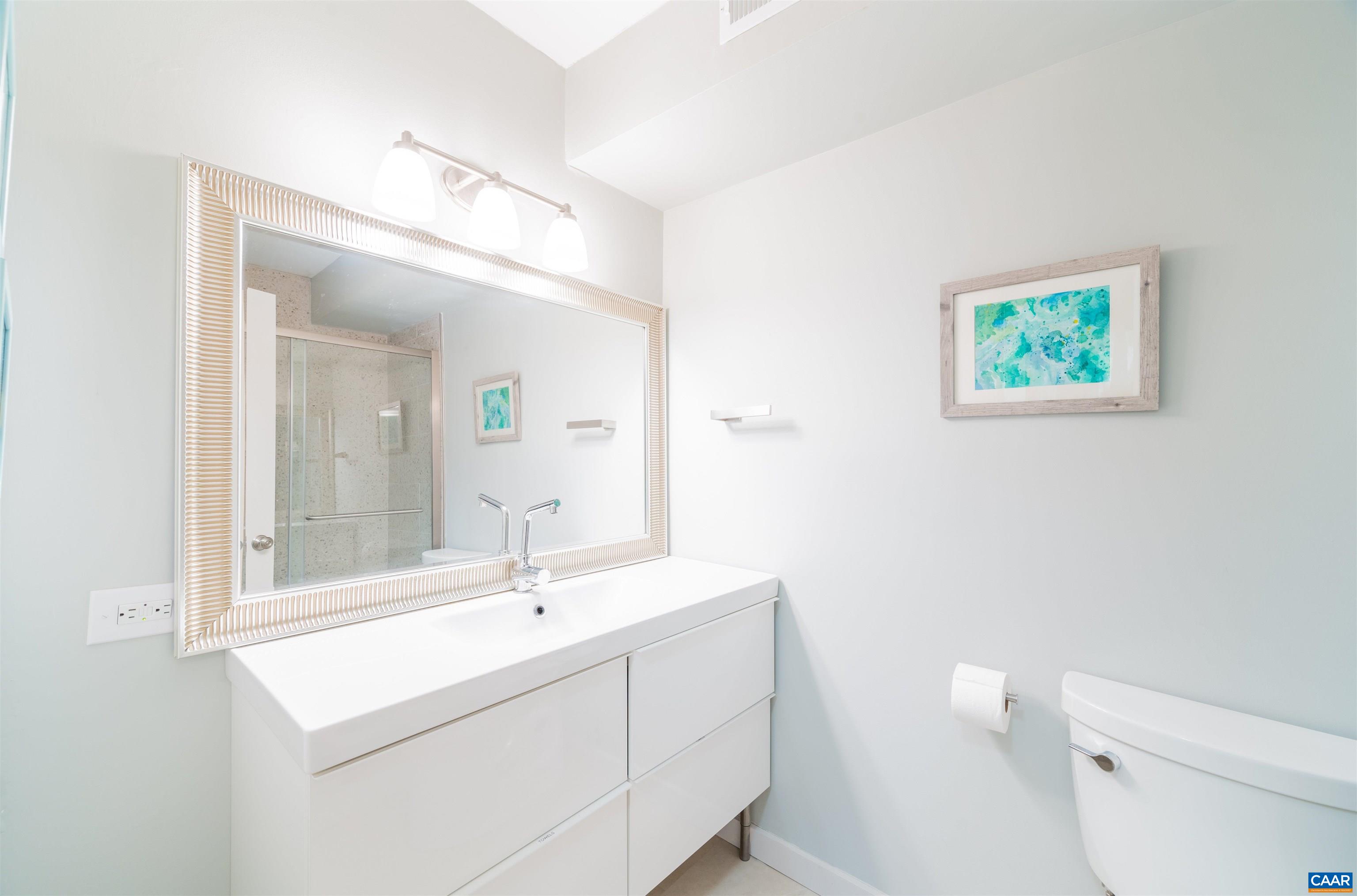 134 Turtle Creek Road, Unit 4 Charlottesville, VA 22901 - Photo 4 of 19 a bathroom with a sink a mirror and a toilet