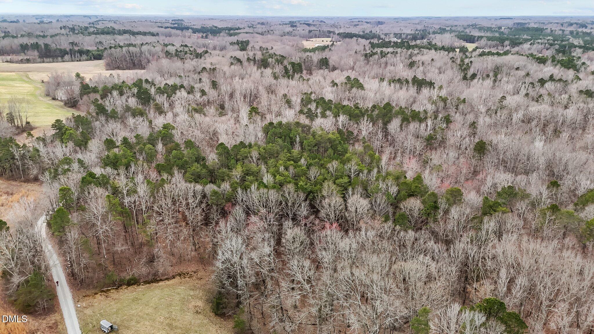 8729 Allison Road Cedar Grove, NC 27231 - Photo 53 of 63 an aerial view of residential houses with outdoor space and trees
