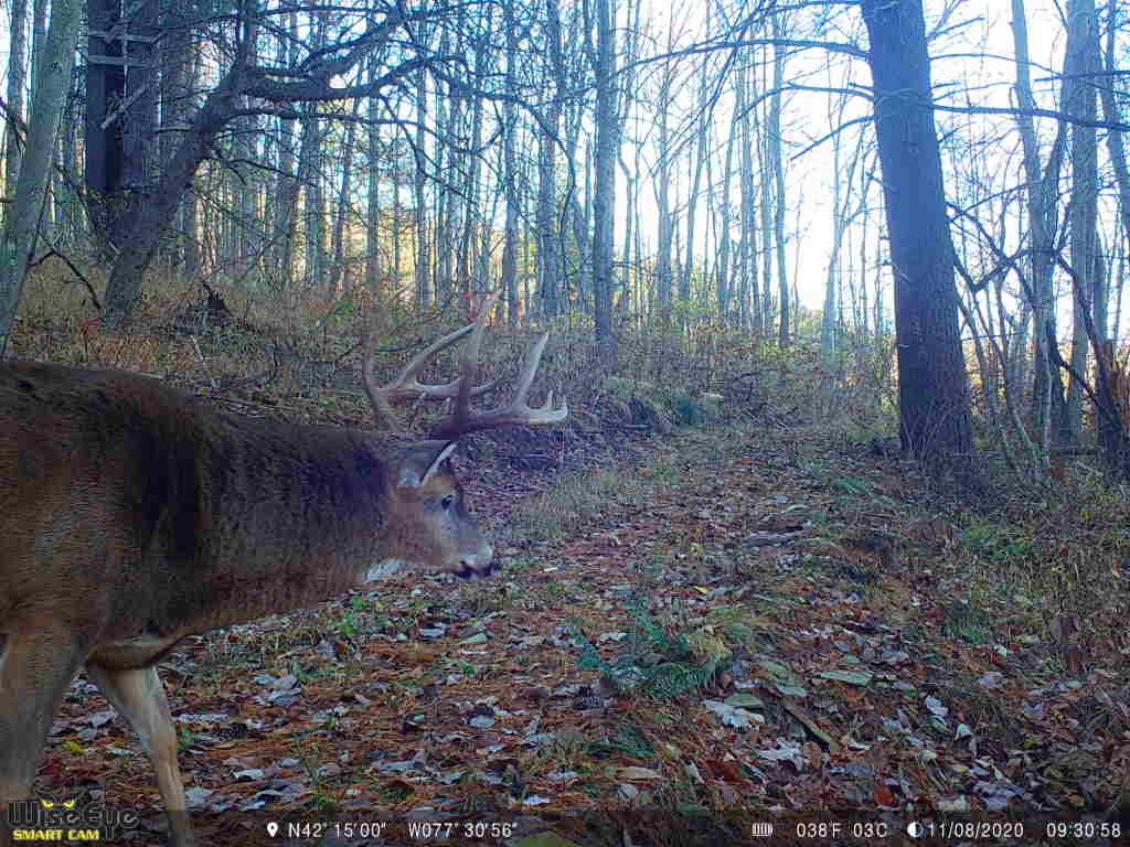 Vl Catatunk Road, Unit R Canisteo, NY 14823 - Photo 44 of 50