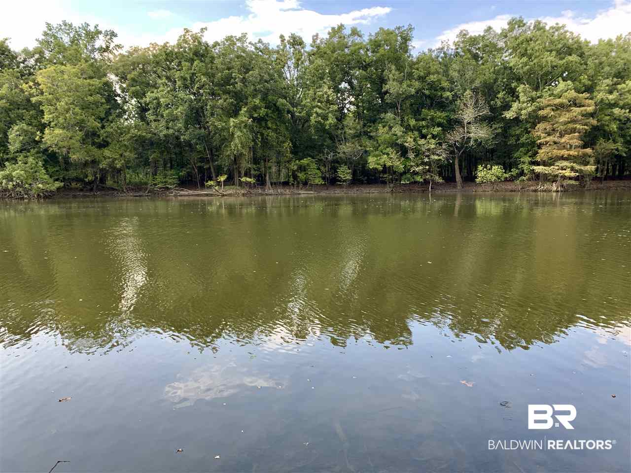 0 Holly Creek Road Stockton, AL 36579 - Photo 7 of 50