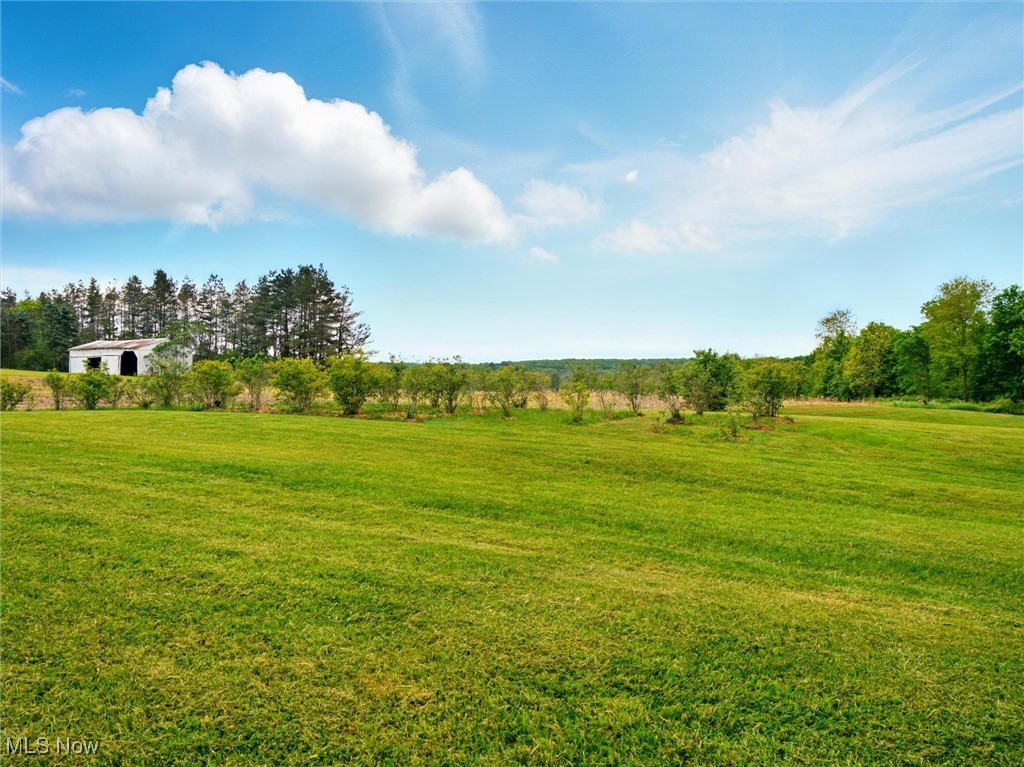 Taylor Wells Road Chardon, OH 44024 - Photo 4 of 20 View of grassy yard featuring a view of countryside