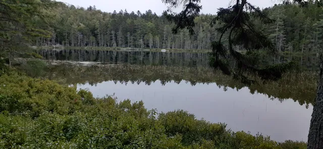 $49,000 | Tbd Trout Pond Road, Ellsworth, ME 04605