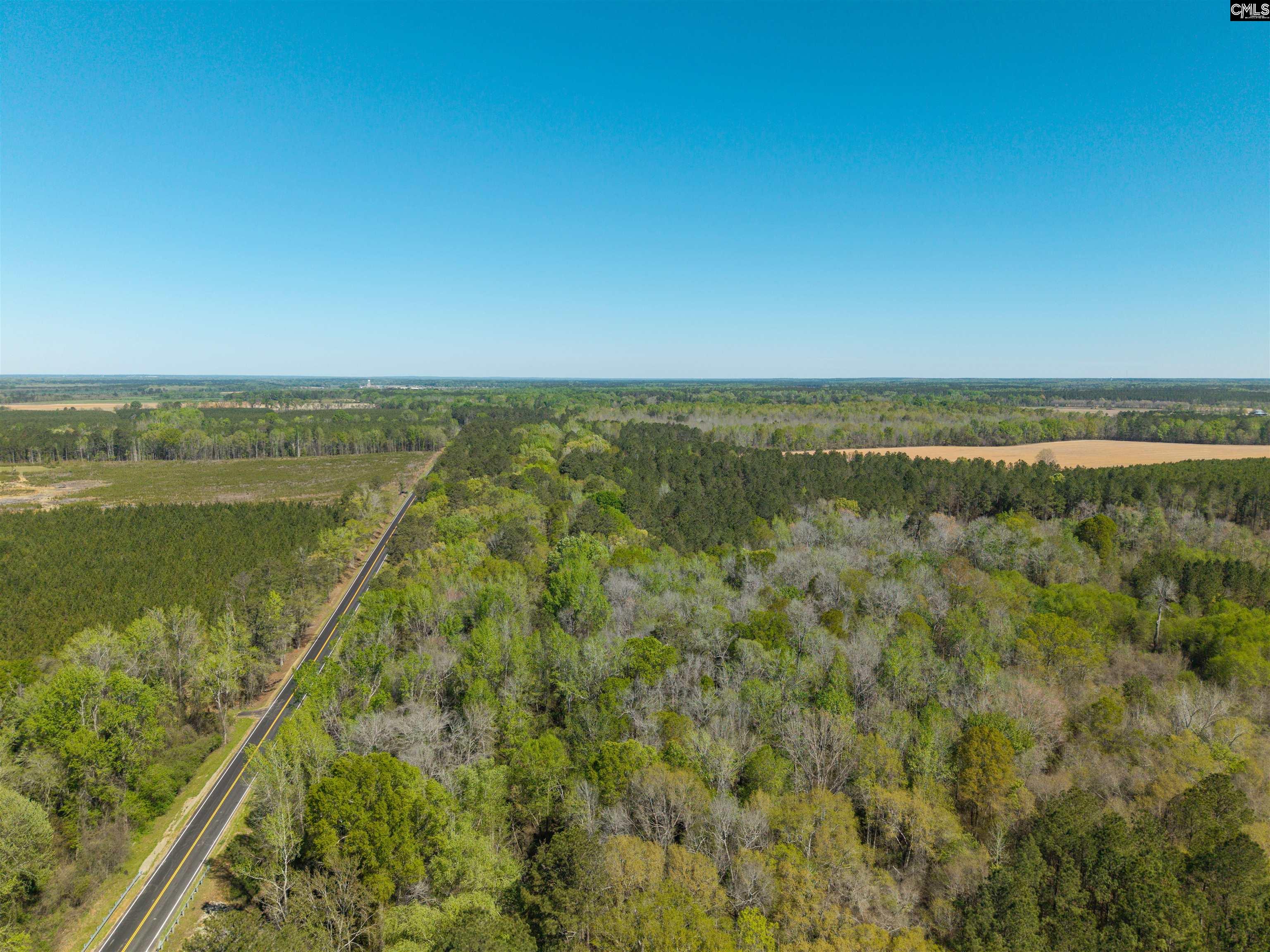 Horatio Haygood Road Rembert, SC 29128 - Photo 5 of 9