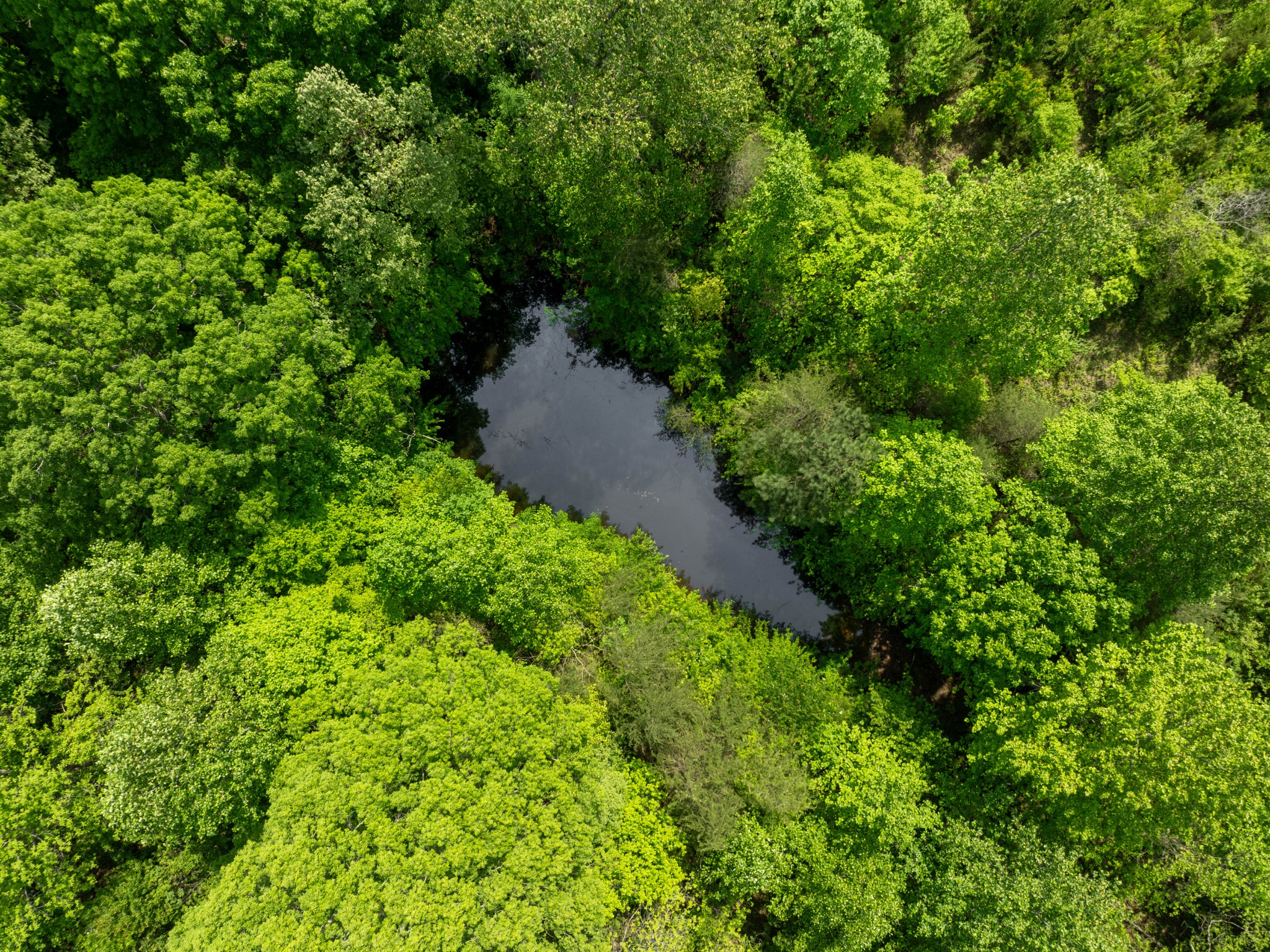 6016 Marrowbone Lake Road Joelton, TN 37080 - Photo 9 of 33