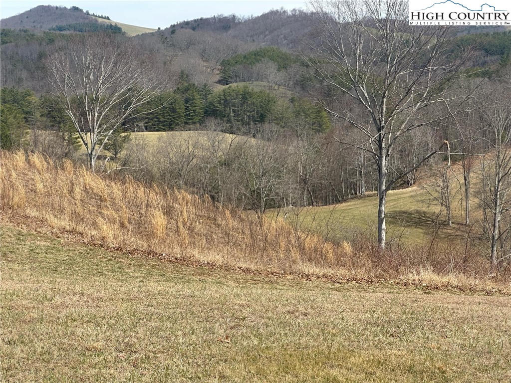 Lot 13 Turtle Rdg Road Sparta, NC 28675 - Photo 2 of 10 a view of a yard with mountain