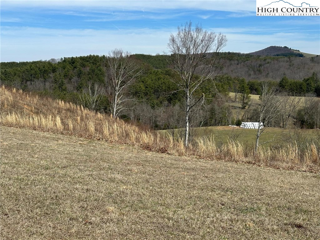 Lot 13 Turtle Rdg Road Sparta, NC 28675 - Photo 3 of 10 a view of a lake with mountains in the background